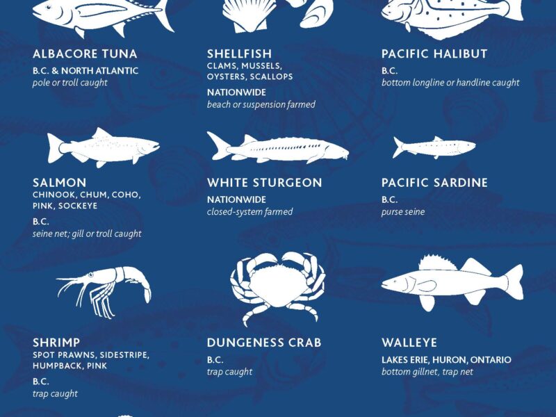 Oceanwise top ten seafood