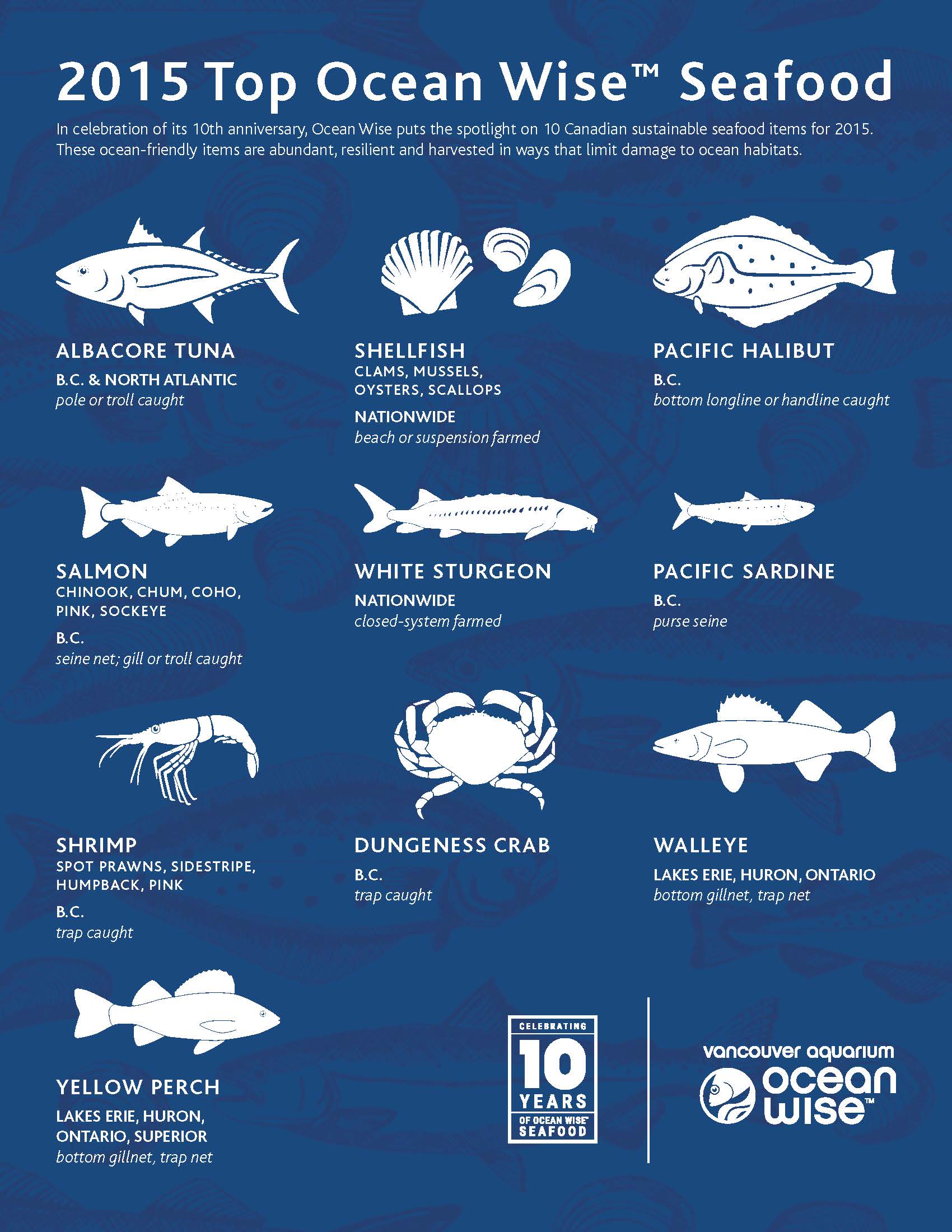 Oceanwise top ten seafood
