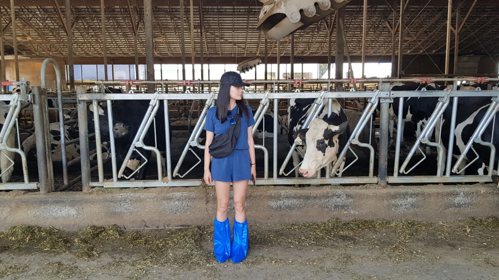 touring the ubc dairy education centre