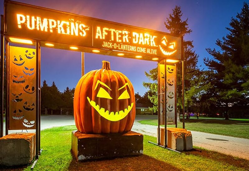 Pumpkins After Dark Jack-O-Lanterns Come Alive | Vancouver 2022