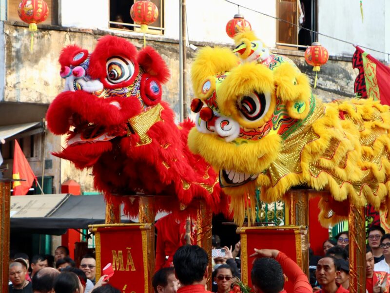 vibrant lion dance at chinese cultural festival
